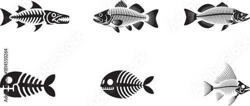 Set of six fish skeletons with detailed bones and sharp teeth on transparent background