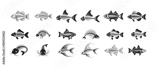 Large collection of various fish skeletons and full fish bodies illustrating diverse aquatic species