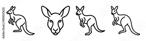 Kangaroo line art set: australian marsupial animal simple icon