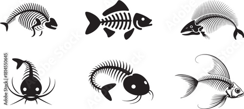 Fish skeletons vector set on transparent background, fish bones collection flat design marine icon pack