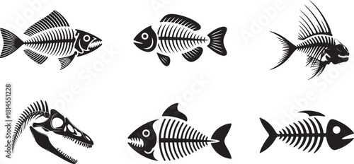 Set of various fish skeletons and dinosaur skull isolated on a transparent background