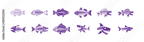 Set of fish skeletons with various species including predator sharks and small bony marine animals