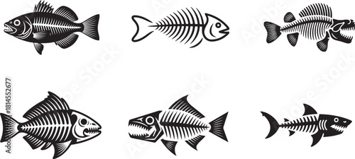 Set of six fish skeletons with sharp teeth and fins isolated on transparent grid background