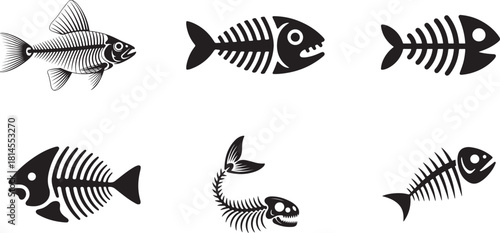 Set of various fish skeletons and abstract bone structures, black and white on transparent background