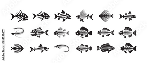 Collection of various fish skeletons and detailed fish bone structures in black and white