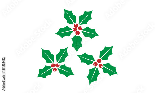 Holly berry icons set, Chritmas logo wirh holly berries
