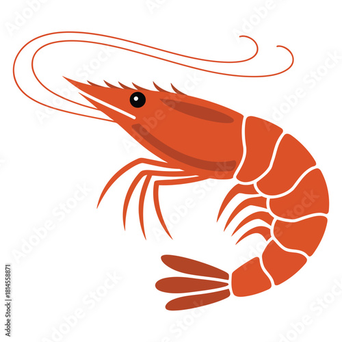 shrimp on white background