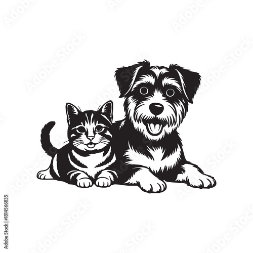 Detailed Cat and Dog Best Friends Illustration