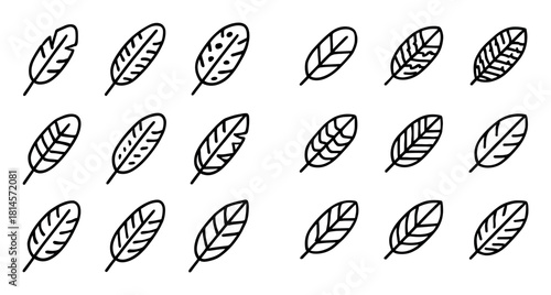 Minimalist Birds of Prey