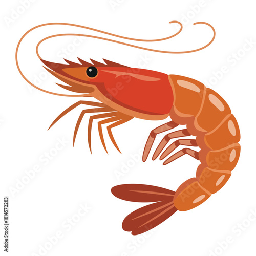 cooked shrimp on a white background