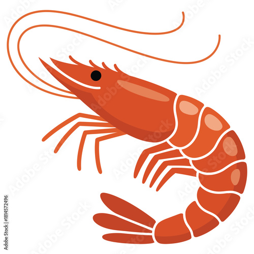cooked lobster on white background