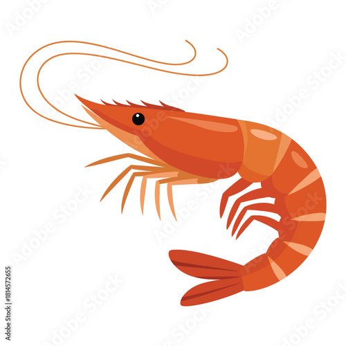 shrimp isolated on white background