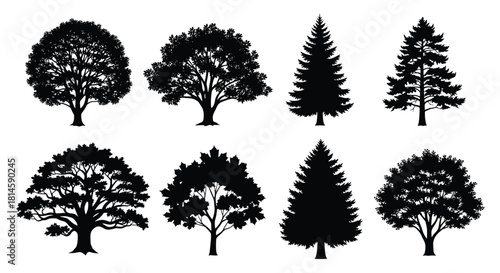 Set of tree silhouettes, different types of oak, maple, and pine trees, collection of black forest and park icons isolated on a white background