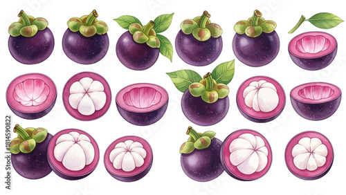 A collection of watercolor style mangosteen illustrations, showing whole, halved, and sliced fruits with leaves on a transparent background.