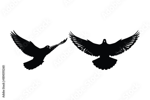 Two silhouetted birds flying against a white background