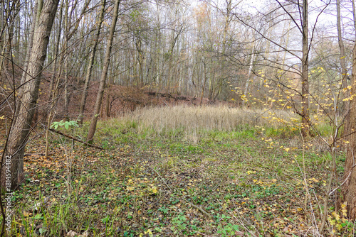 Cybina River Valley, a protected area with lush vegetation and hills, with an autumn view covered with fallen leaves