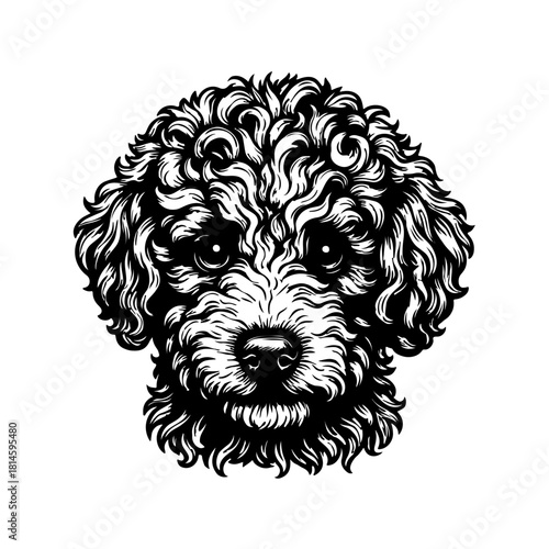 Animal Clip Art Vector