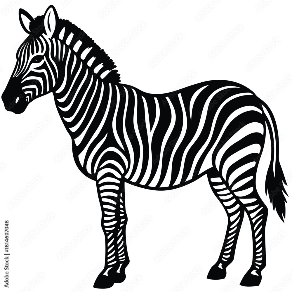 Fototapeta premium zebra vector icon