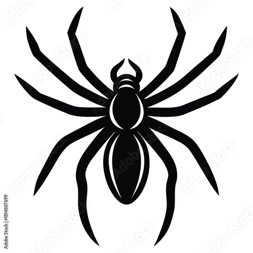 spider vector icon