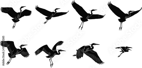 Flying heron silhouettes, bird motion, black icons, wing positions, elegant flight, wildlife illustration, avian anatomy, nature pose, outdoor design
