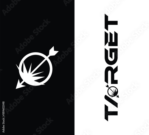 Bold target logo on black and white backdrop, ideal for branding, marketing, and design projects seeking a modern, impactful visual statement.