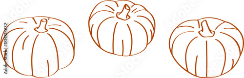 Set of outline handdrawn isolated pumpkins. Vector illustration with transparent background.