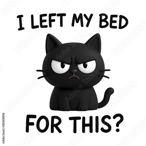 Black cat with annoyed expression questions leaving bed for surprising activity