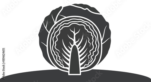Cabbage silhouette isolated on white background