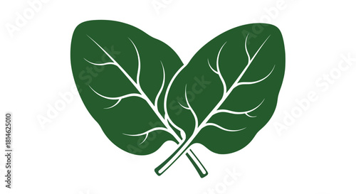 Two green spinach leaves silhouette isolated on white background