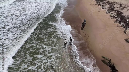 Horsewomen ride horses along the sandy seashore. Aerial view of a herd of horses galloping near the ocean