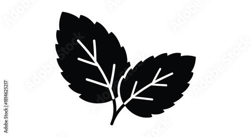 Two green leaves silhouette isolated on white background