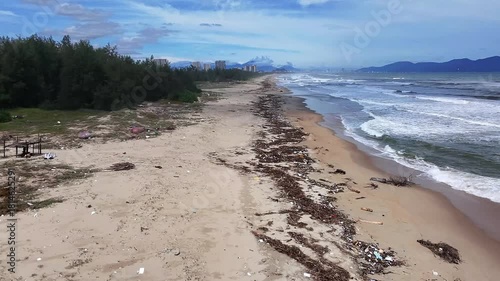 Aerial view of the beach, where logs and debris washed up after the rain. Coast during the rainy season. Concept of ecology and environmental pollution