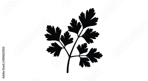 Black silhouette of a parsley sprig isolated on white background