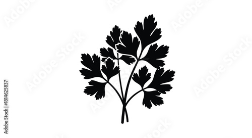 Black silhouette of parsley leaves isolated on white background