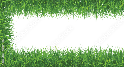 Frame of fresh green grass vector illustration, seamless spring lawn border, natural summer background, copy space banner isolated on white