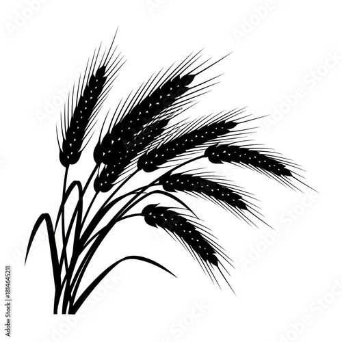 Black and white illustration of wheat stalks with grains, showcasing agricultural harvest and farming concept