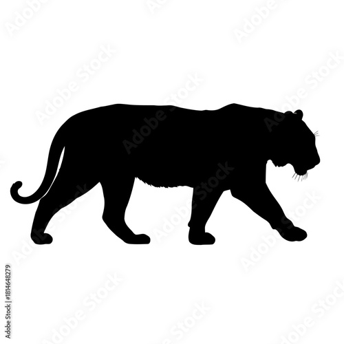 vector silhouette of a Tiger