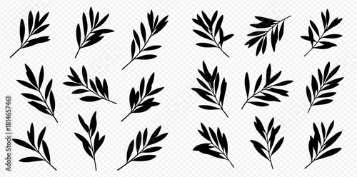 Silhouetted olive branches with leaves, arranged in a pattern on a transparent background.