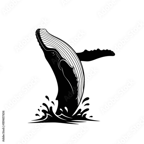 Black and white illustration of a whale breaching the water surface with splashes, vector art style