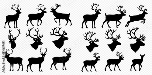Silhouettes of deer in various poses and headshots with antlers.