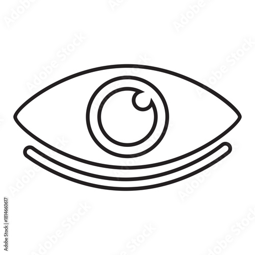 Eye Icon Detailed Graphic Vision Clarity Sight Symbol Visual Focus Anatomy Optics Healthcare Illustration Outline View