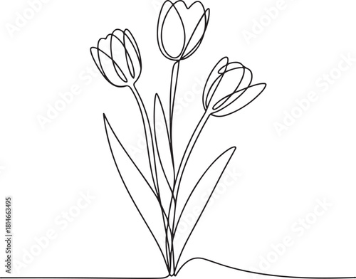 Continuous line art illustration of three tulip stems leaning gracefully with handmade contour