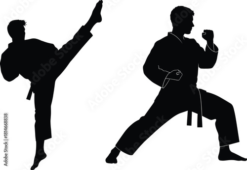 Black silhouette of two martial artists in action poses, karate, martial arts, silhouette, black, white, fighter, kick, punch, action, pose, sport, combat, training, discipline, strength, movement, dy