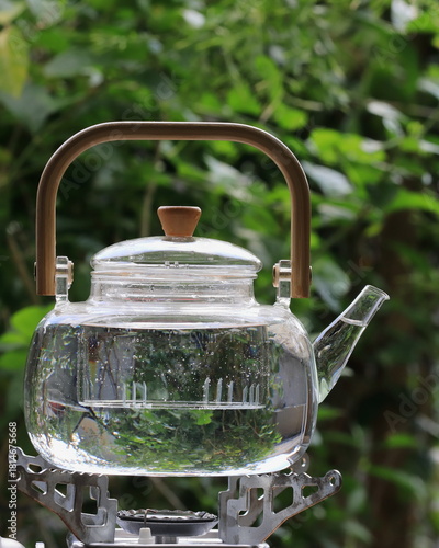 teapot on the green grass