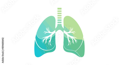 Abstract illustration of human lungs in blue and green colors  