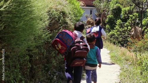 Raw footage of Indian village school children carrying backpacks and walking home after school on narrow rural pathway in countryside India.