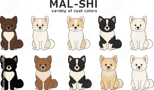 Cute Mal-Shi dog breed illustration showing multiple coat colors, cartoon puppies, sitting poses, adorable pet artwork, vector design collection