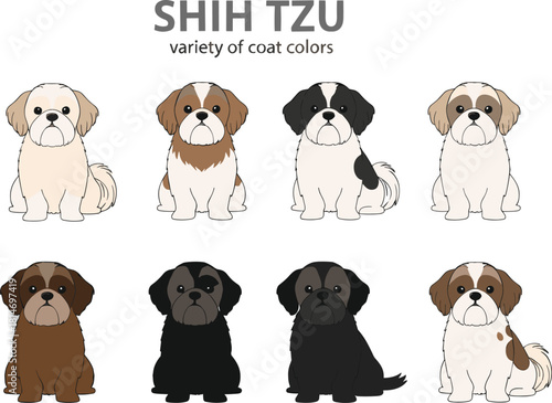Shih Tzu dog breed illustration showcasing diverse coat colors, cute cartoon style puppies perfect for pet posters, breed guides, and educational designs