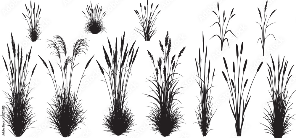 Φωτογραφία Wild grass silhouette vector set, different varieties of marsh grass, cattails, and reeds for natural landscaping design