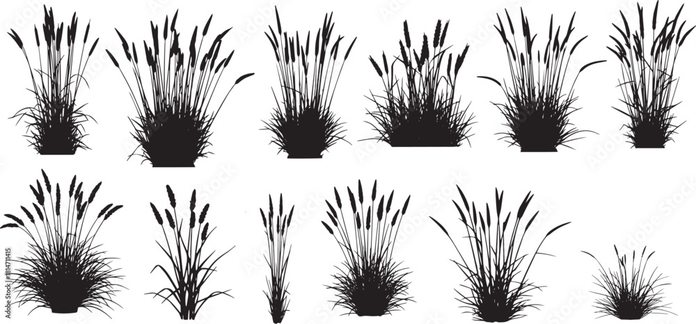 Φωτογραφία collection of black vector silhouettes of various marsh plants and wild grasses, including cattails and reeds